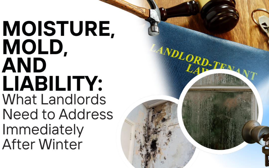 Moisture, Mold, and Liability: What Landlords Need to Address Immediately After Winter